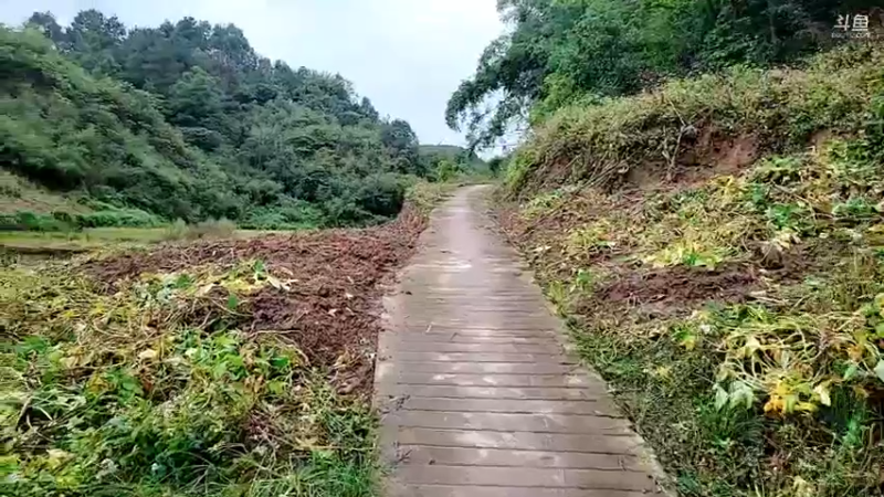 【2021-11-07 12点场】逐梦兄弟：十一点开播！