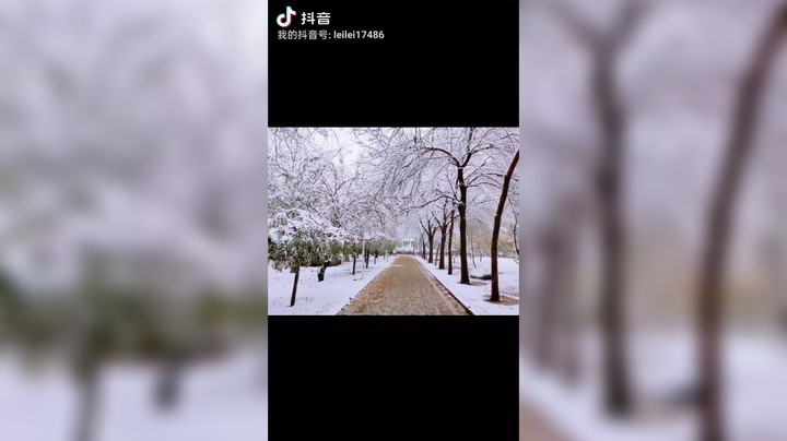初雪