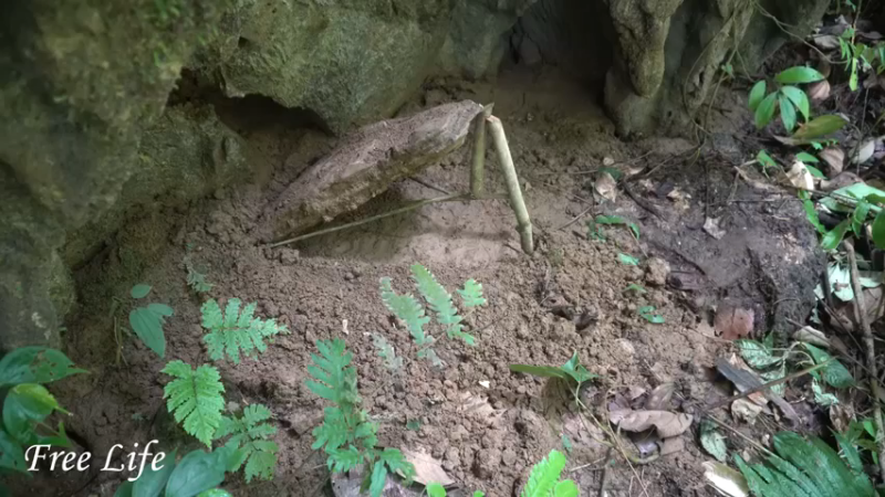 女生桃园S203美食章节兔子10，小姐姐荒野隐居