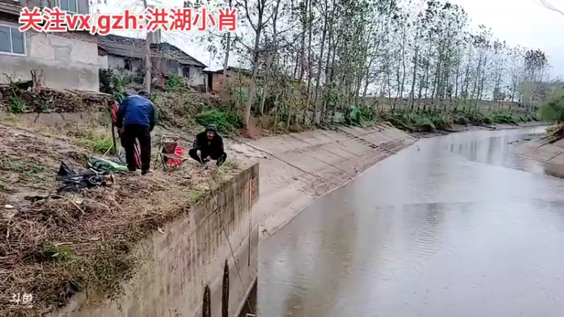 【2021-11-07 17点场】洪湖小肖：今天双倍亲密度