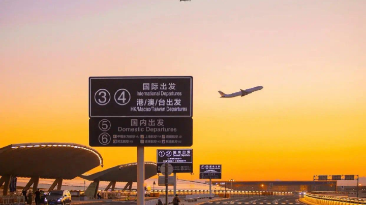粑粑c