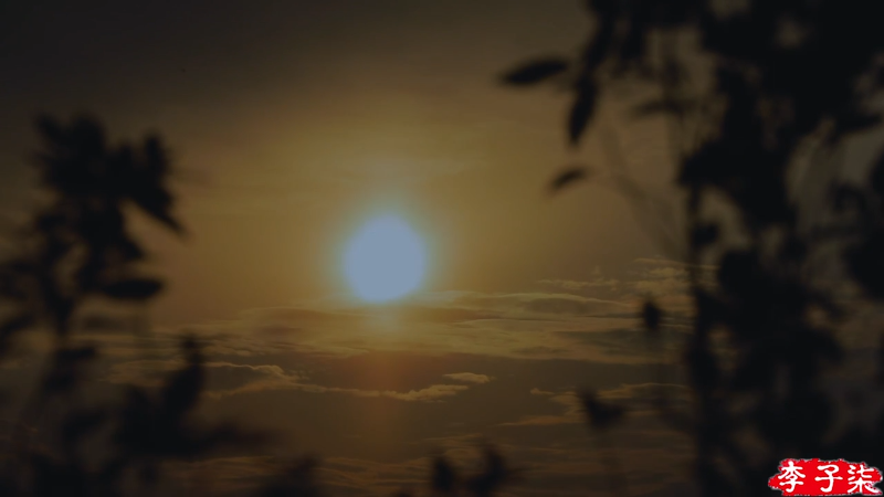 【美食】李子柒liziqi的精彩时刻 20211107 01点场