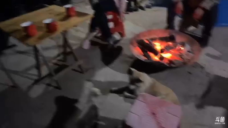 【2021-11-07 18点场】魅力生活i：晚上美食聊天