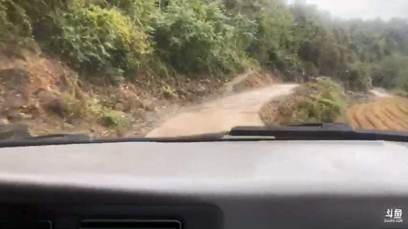 【2021-11-07 14点场】魅力生活i：找枞菌寻甲鱼