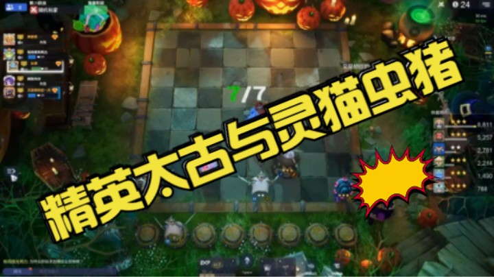 终局两家精英8人口召唤流的PK——太古与灵猫虫猪