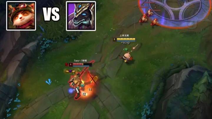 【恶霸提莫】又逼疯一个AP狗头，这天赋打AP狗头有收进行