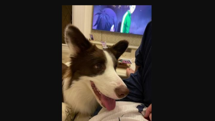 今天不更了，加油加油