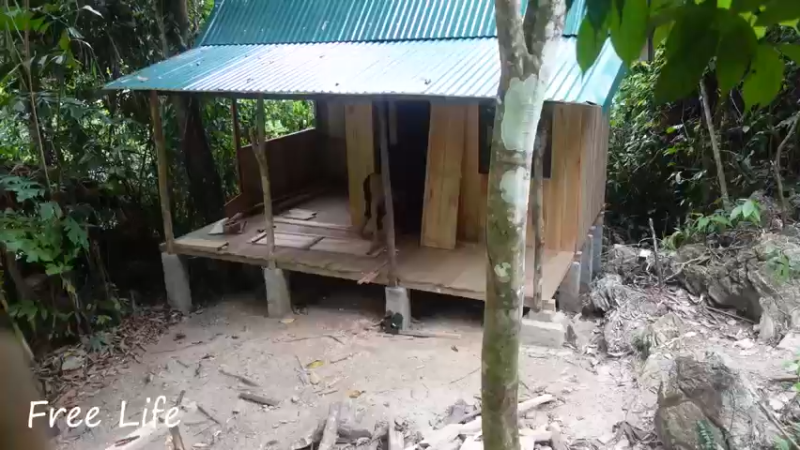 女生桃园S208完成木屋门梯8小姐姐荒野隐居