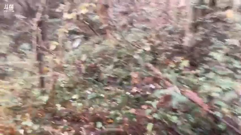 【2021-11-07 13点场】魅力生活i：找枞菌寻甲鱼