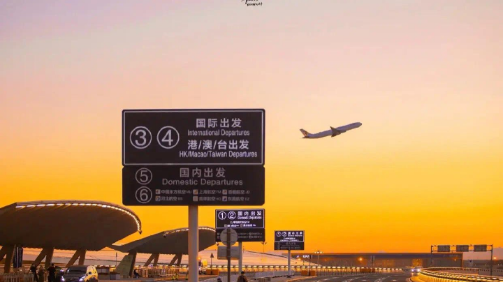 粑粑c