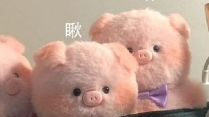 量子特工。