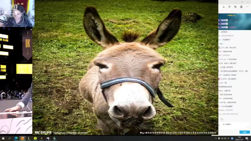 【2021-11-07 01点场】直播间最发抛的欣欣：赫本：别问，问就是吃鱼