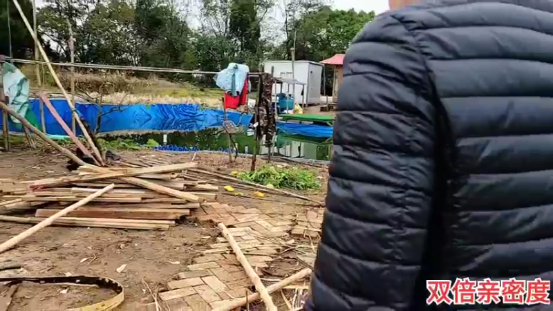 【2021-11-07 16点场】川味箩卜：基地忙碌的一天