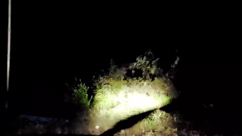 【2021-11-08 02点场】洪湖小肖：今天双倍亲密度