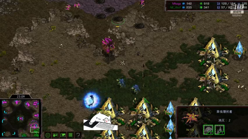 【2021-11-08 18点场】星际解说：第一天直播~ 592593