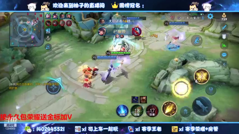 【2021-11-08 17点场】毕竟是柚子：国服阿珂归位！！！