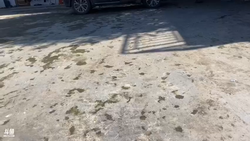 【2021-11-08 10点场】魅力生活i：上山寻找美味佳肴