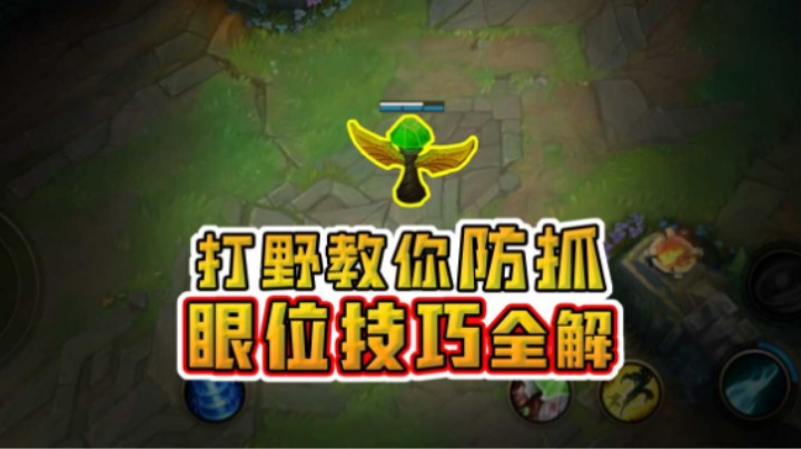 王者打野教你做眼合集，辅助必看插眼细节，这很重要