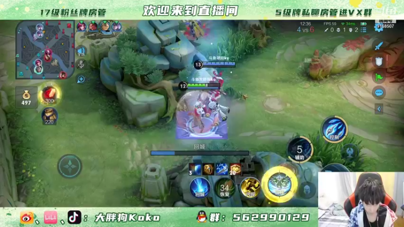 【2021-11-08 16点场】大胖狗koko：DHG VS MGL训练赛