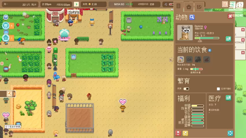 【2021-11-08 11点场】斯诺灬：【斯诺】新游实况：让我们造个动物园~