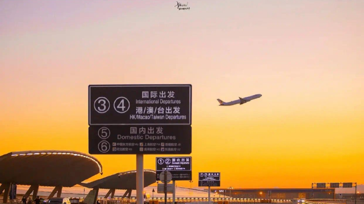 粑粑c