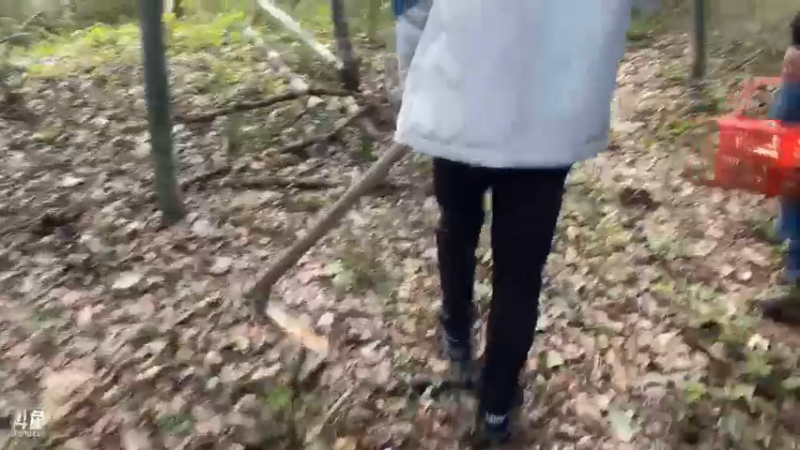 【2021-11-08 12点场】魅力生活i：上山寻找美味佳肴