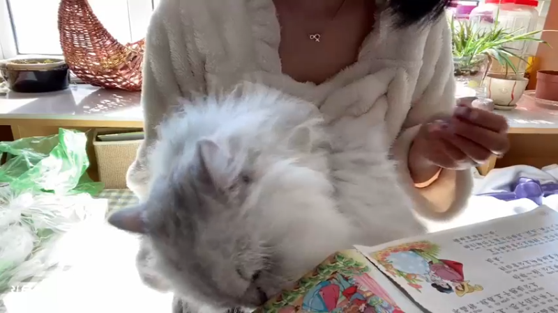 DOUYU_9644006_2021_10_17小猫咪