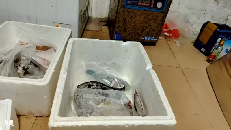 【2021-11-08 20点场】海道丶：装备维修中