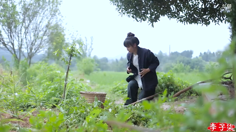 【美食】李子柒liziqi的精彩时刻 20211108 16点场