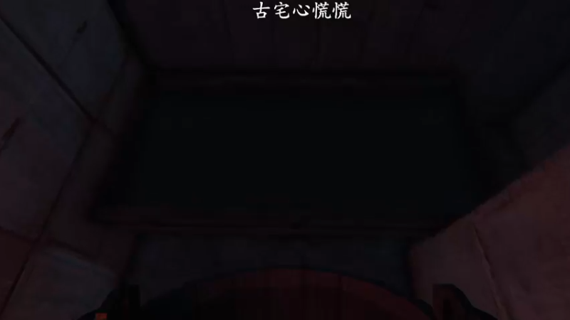 【2021-11-09 11点场】琼斯小卫：新游《不速之客》超惊悚首播~胆小勿入