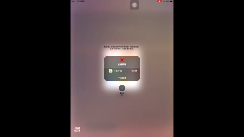 【2021-11-09 16点场】神秘鸽i：神秘鸽i的直播间