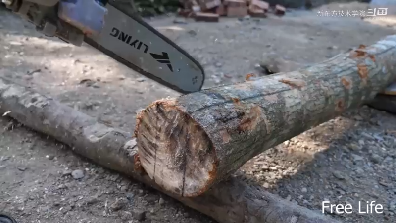 《家园》精P033制作宝箱存储箱6#妹子独自深入荒野隐居，建设世外桃源第一季