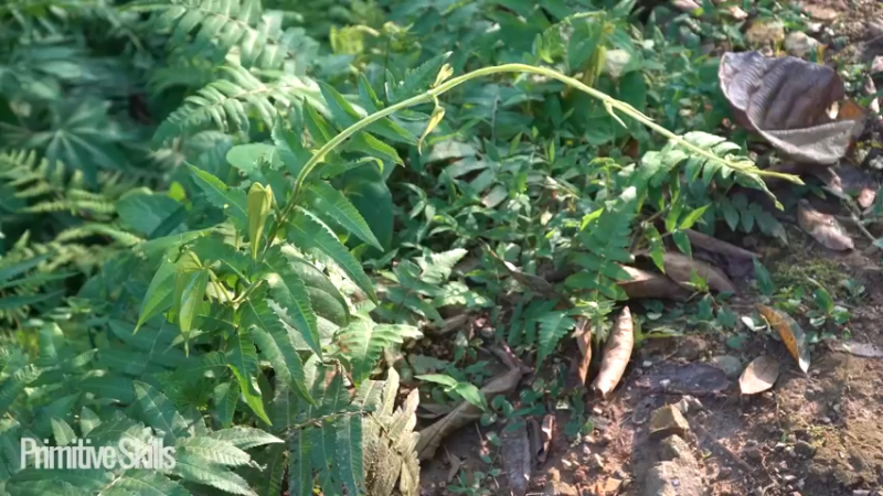 续我的世界41建造大泳池2如果你一无所有，进入山野...》