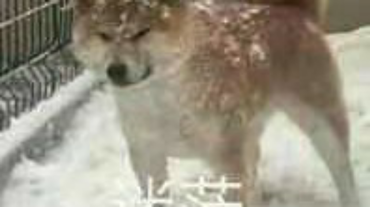 累了