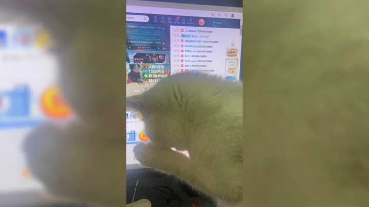 它叫COCO