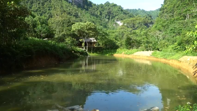 续我的世界36水又满了1如果你一无所有，进入山野...》