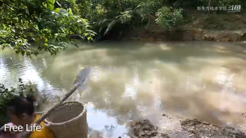 离网日常32打造休闲椅舒服了3#妹子独自深入深山，离网日常