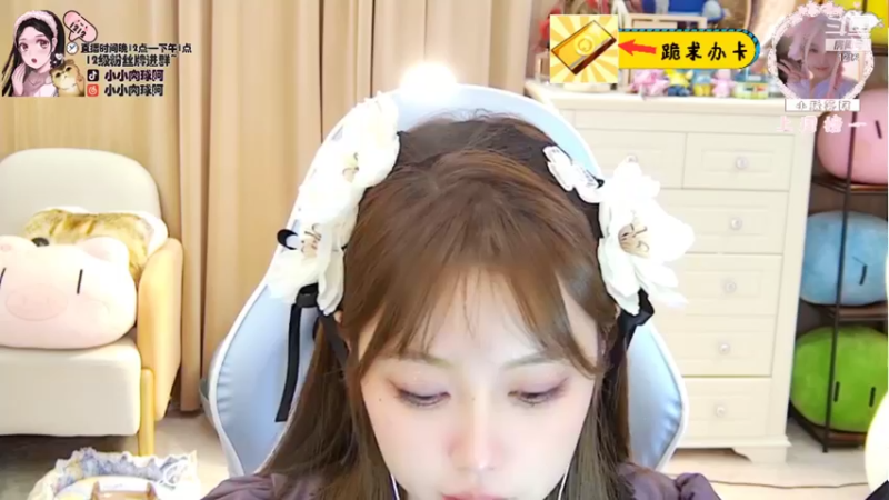 【2021-11-09 17点场】小肉球阿：爱笑的女孩运气不会差~