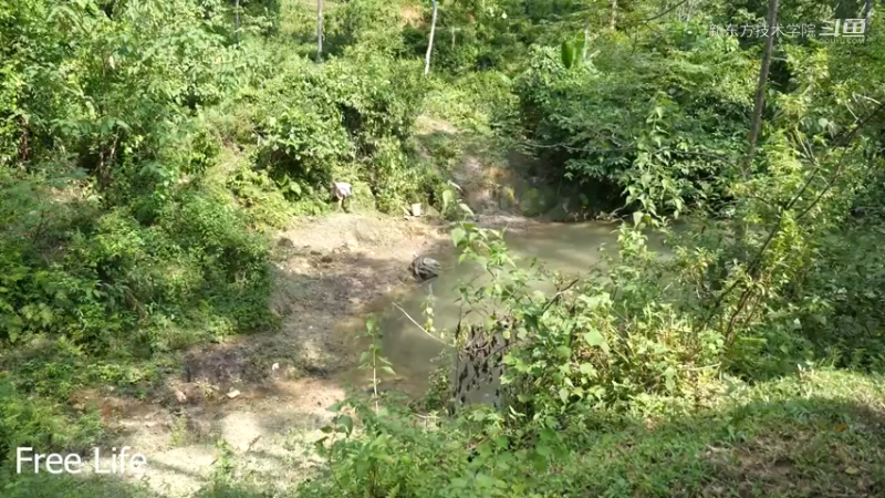 离网日常32打造休闲椅舒服了2#妹子独自深入深山，离网日常