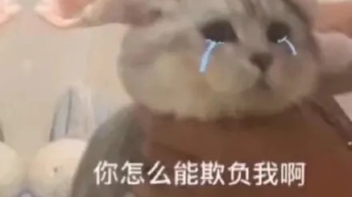随便发发你随便看看
