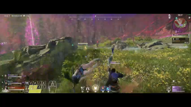 【2021-11-05 13点场】一只黄仔：包心菜又来了