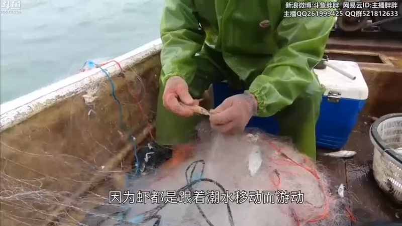 【2021-11-09 03点场】胖胖灬：胖胖OB： 快乐的11月！