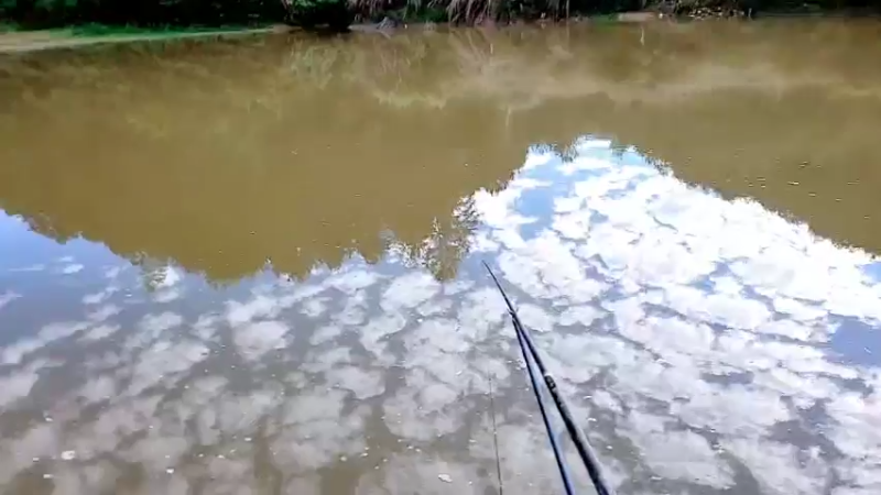 【2021-11-09 15点场】主播阿郎：山居生活今天做牛肉丝