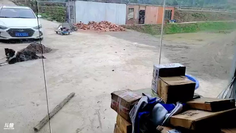 【2021-11-09 10点场】逐梦兄弟：年度我们来了冲冲冲