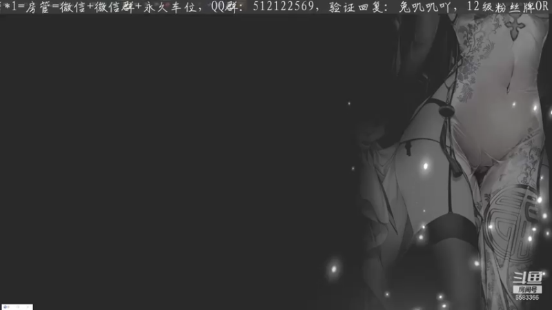 【2021-11-03 19点场】兔叽叽丫：今天你看兔叽叽了吗？