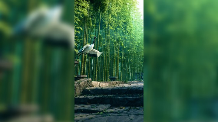 带你感自然恬静之美
