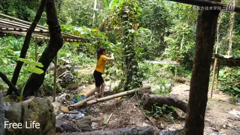 离网日常32打造休闲椅舒服了10#妹子独自深入深山，离网日常