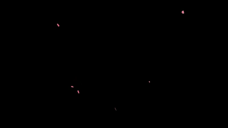 【2021-11-02 11点场】袜叽：认真的鱼摸