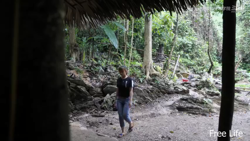 离网日常20必须要有泳池1妹子深入深山，离网日常