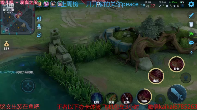 【2021-11-08 21点场】美丽开：飞机+常驻+活跃=王者！！！